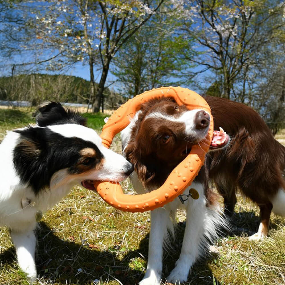 War Ring – Robustes Wasserdichtes Leichtes Flexibles und Interaktives Hundespielzeug