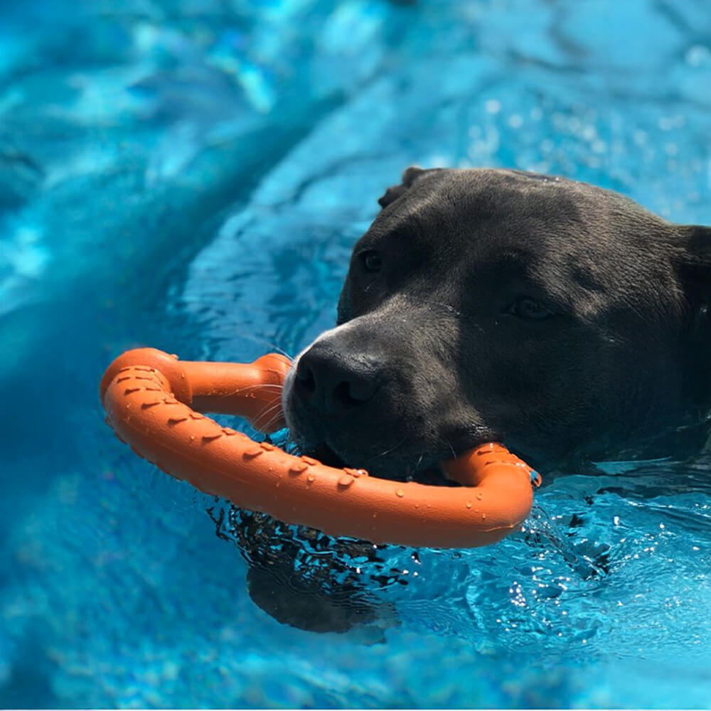 War Ring – Robustes Wasserdichtes Leichtes Flexibles und Interaktives Hundespielzeug