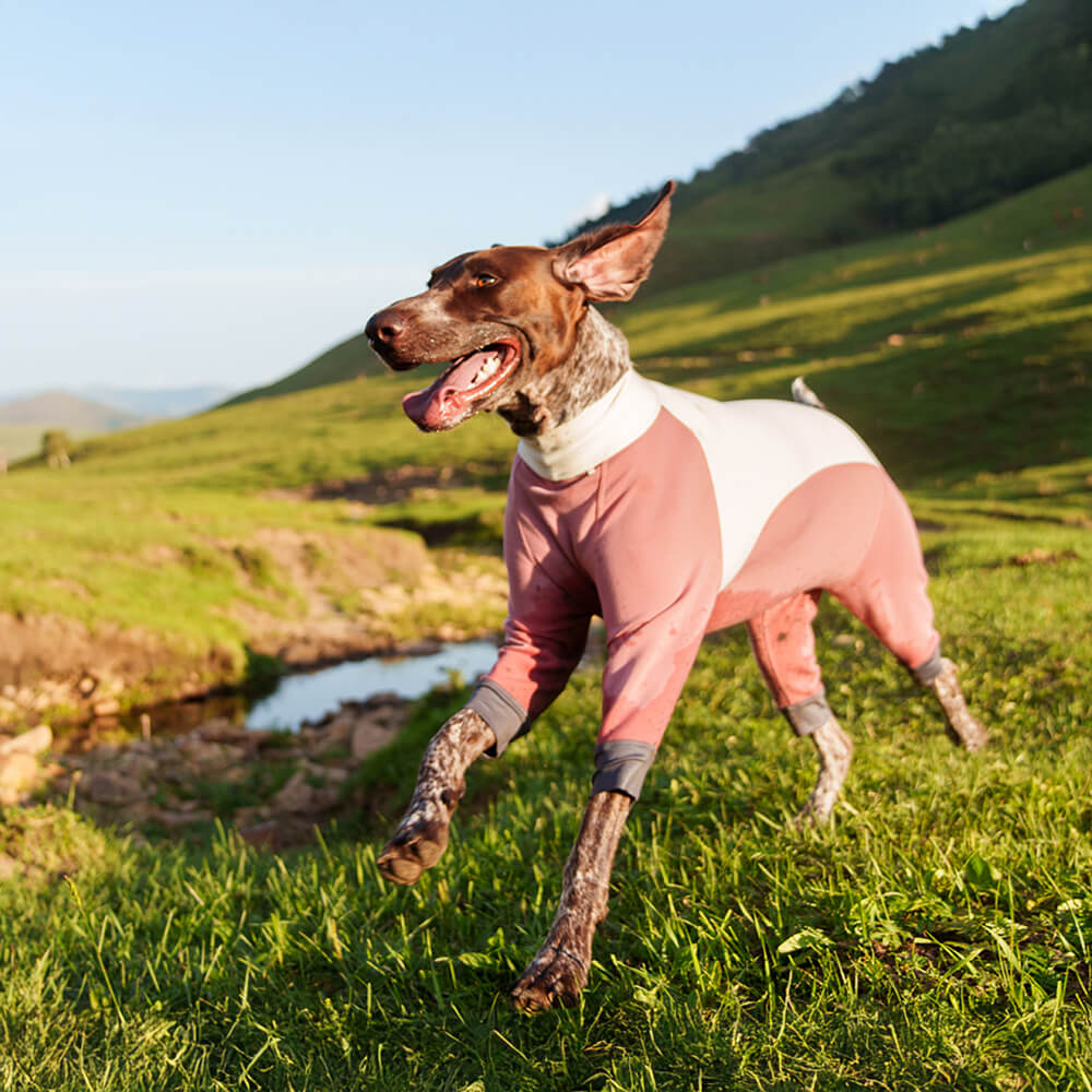 Warmer Gemütlicher Dehnbarer Vierbeiniger Antistatischer Hundebody für den Außenbereich mit Rollkragen