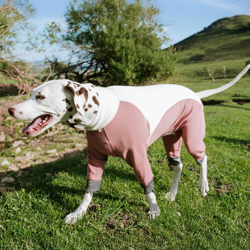 Warmer Gemütlicher Dehnbarer Vierbeiniger Antistatischer Hundebody für den Außenbereich mit Rollkragen