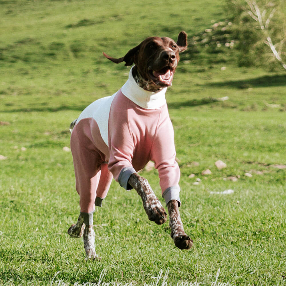 Warmer Gemütlicher Dehnbarer Vierbeiniger Antistatischer Hundebody für den Außenbereich mit Rollkragen