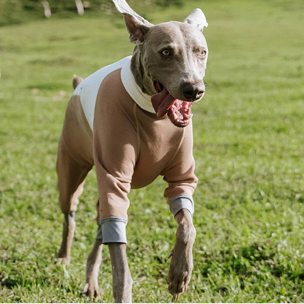 Warmer Gemütlicher Dehnbarer Vierbeiniger Antistatischer Hundebody für den Außenbereich mit Rollkragen