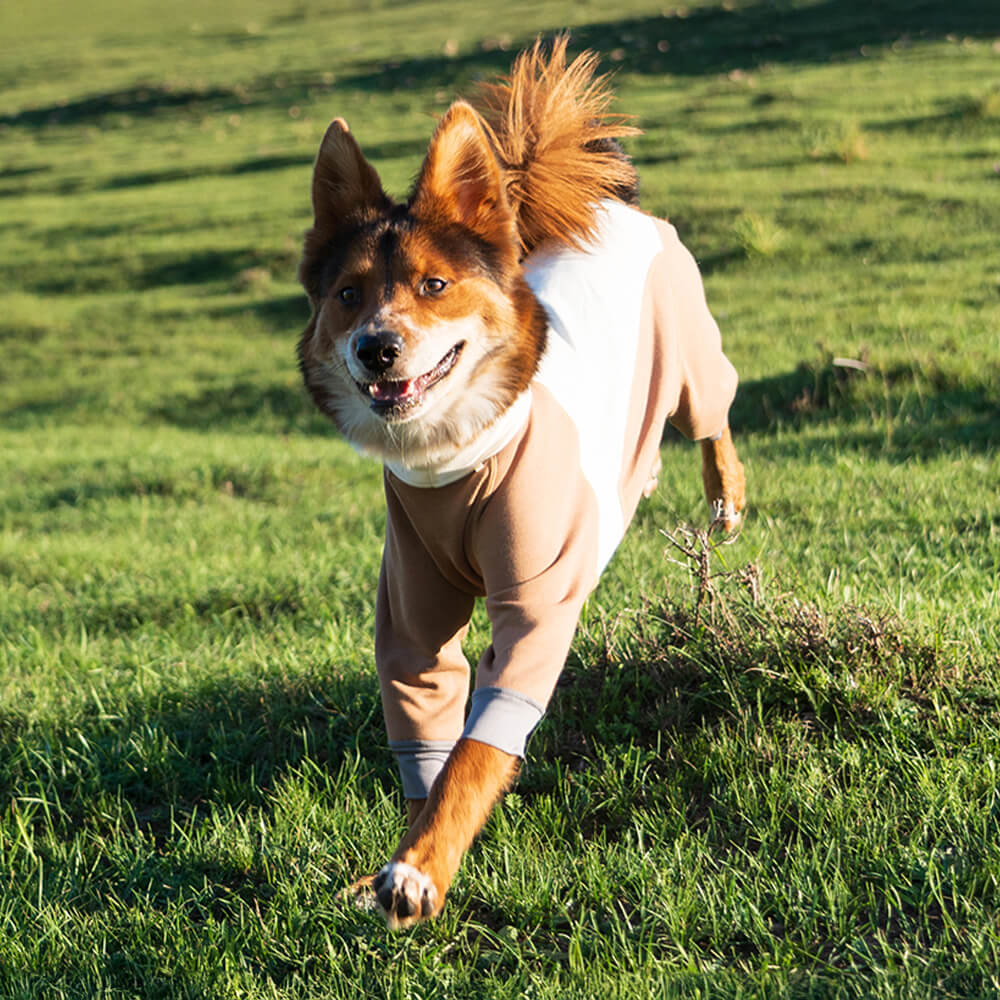 Warmer Gemütlicher Dehnbarer Vierbeiniger Antistatischer Hundebody für den Außenbereich mit Rollkragen