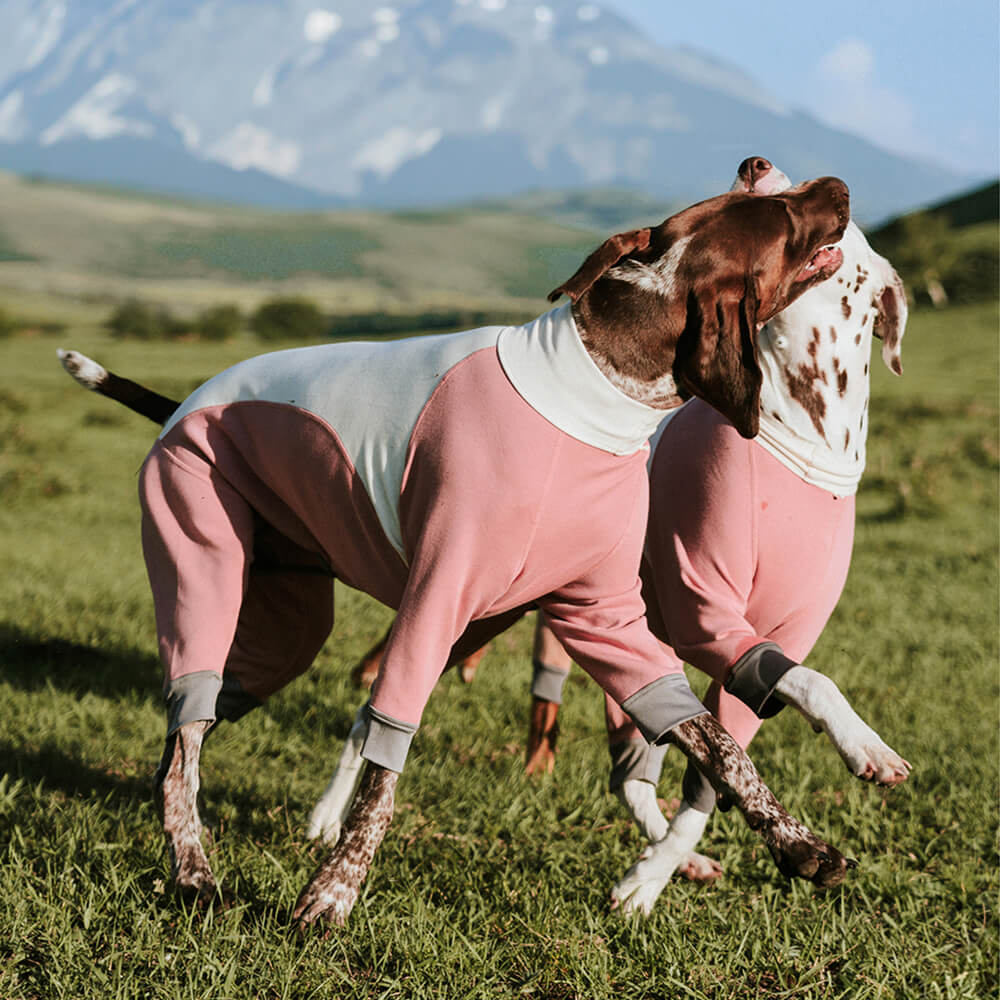 Warmer Gemütlicher Dehnbarer Vierbeiniger Antistatischer Hundebody für den Außenbereich mit Rollkragen