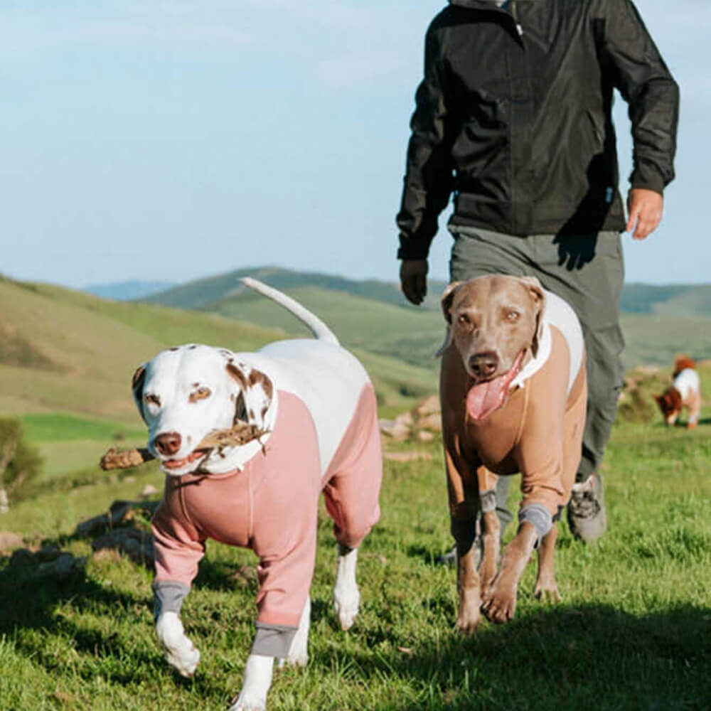 Warmer Gemütlicher Dehnbarer Vierbeiniger Antistatischer Hundebody für den Außenbereich mit Rollkragen