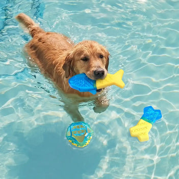 Wasserbefüllbares gefrierbares Zahnungs-Kühlspielzeug für Hunde