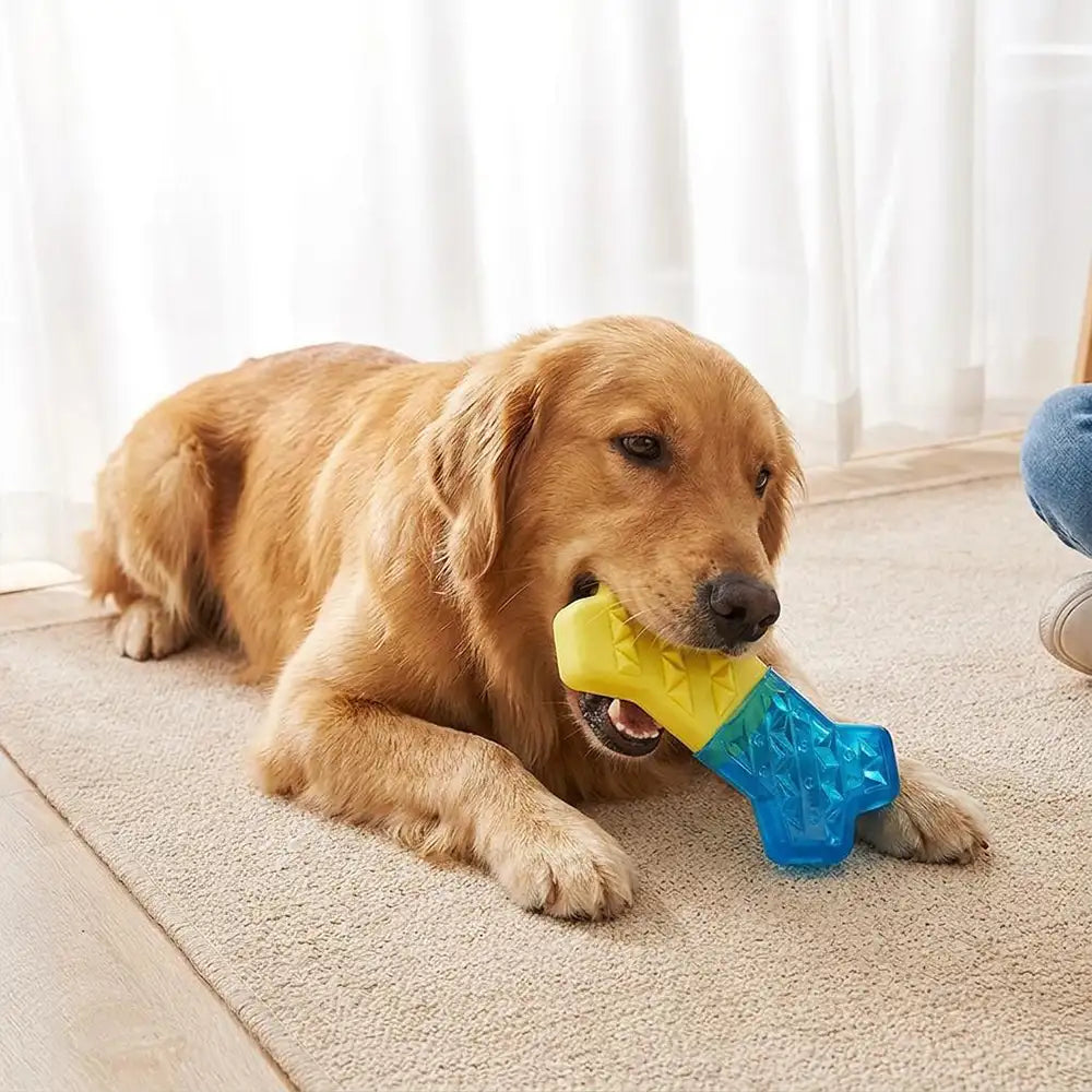 Wasserbefüllbares gefrierbares Zahnungs-Kühlspielzeug für Hunde