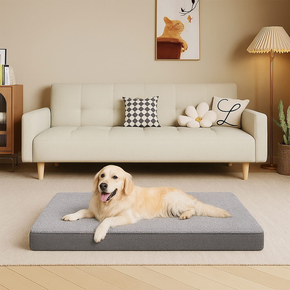 Wasserdichtes orthopädisches abnehmbares Memory-Foam-Hundebett für große Hunde