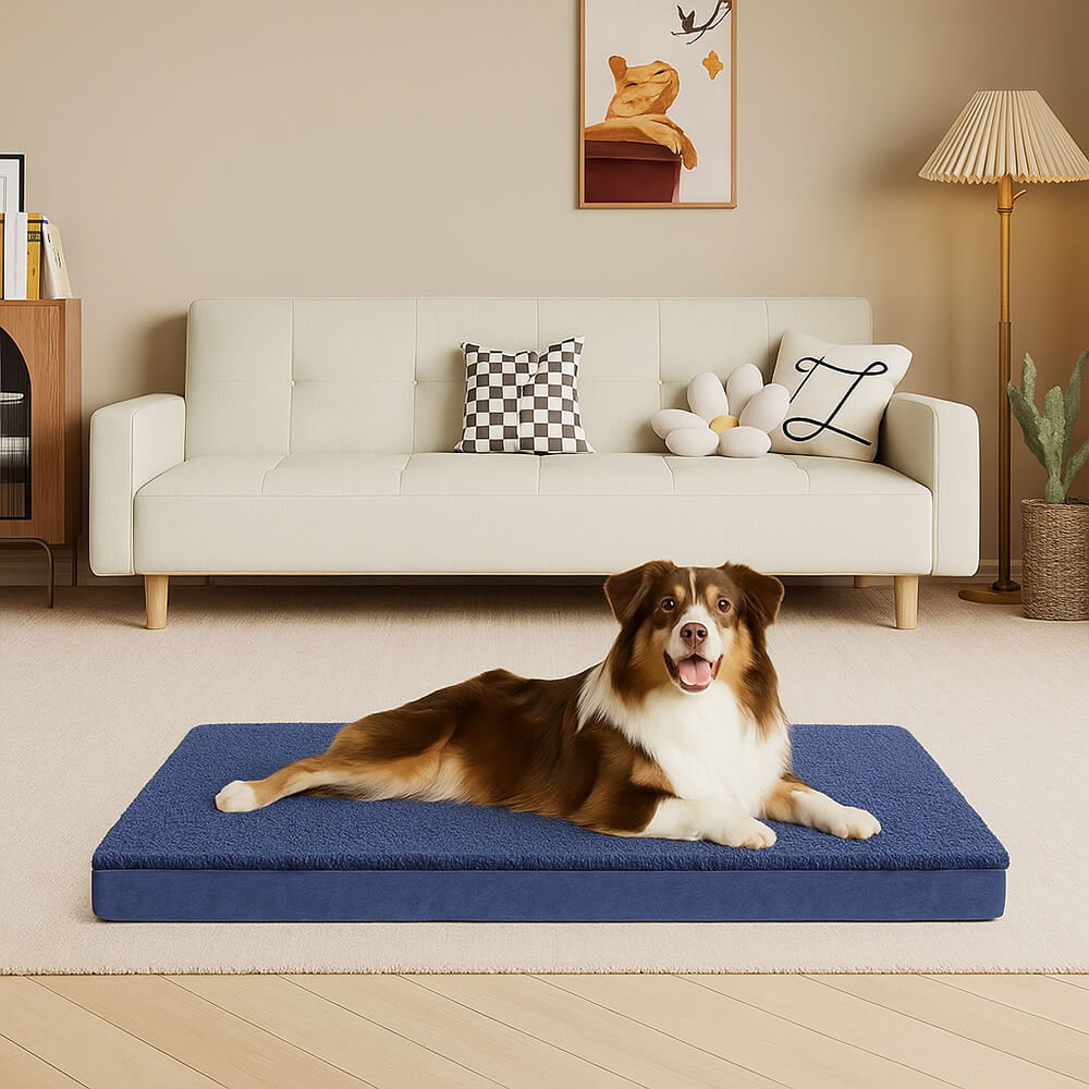 Wasserdichtes orthopädisches abnehmbares Memory-Foam-Hundebett für große Hunde