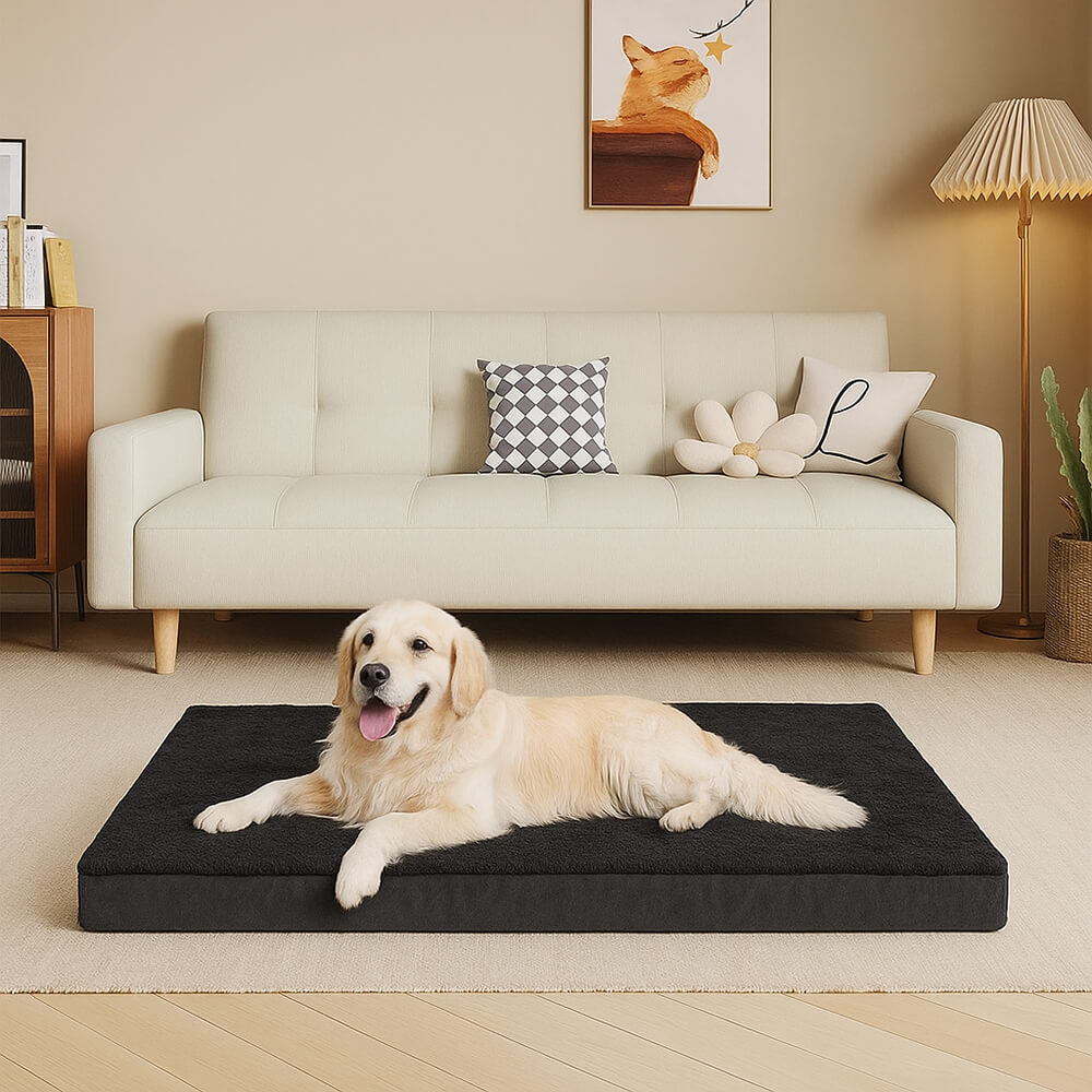 Wasserdichtes orthopädisches abnehmbares Memory-Foam-Hundebett für große Hunde