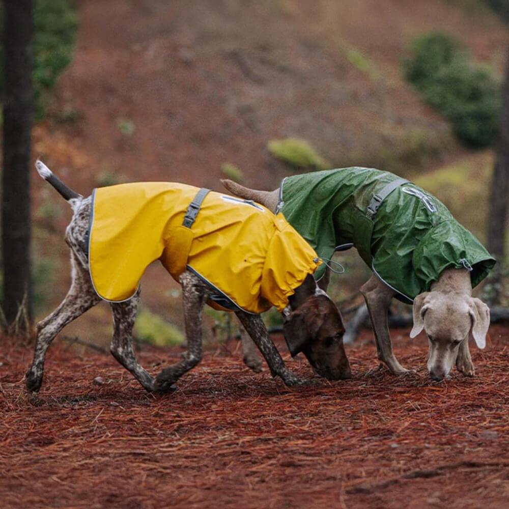 Verstellbarer Rollkragenpulli Reflektierende Jacke Hund Mensch Passend zum Regenmantel