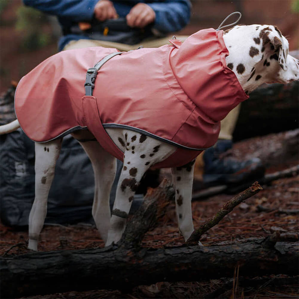 Verstellbarer Rollkragenpulli Reflektierende Jacke Hund Mensch Passend zum Regenmantel