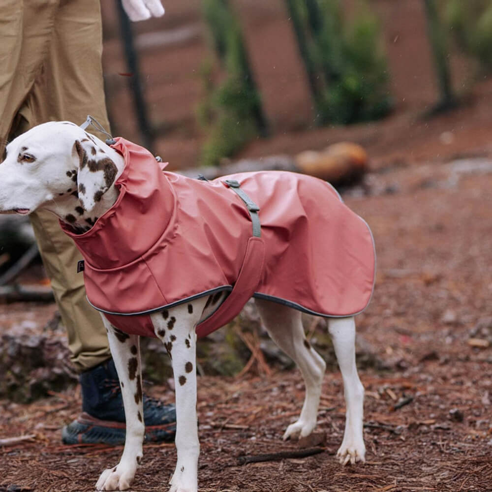 Verstellbarer Rollkragenpulli Reflektierende Jacke Hund Mensch Passend zum Regenmantel