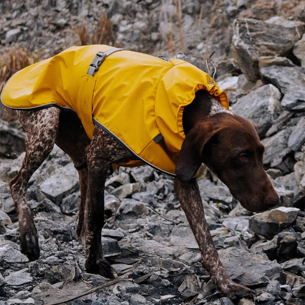 Verstellbarer Rollkragenpulli Reflektierende Jacke Hund Mensch Passend zum Regenmantel