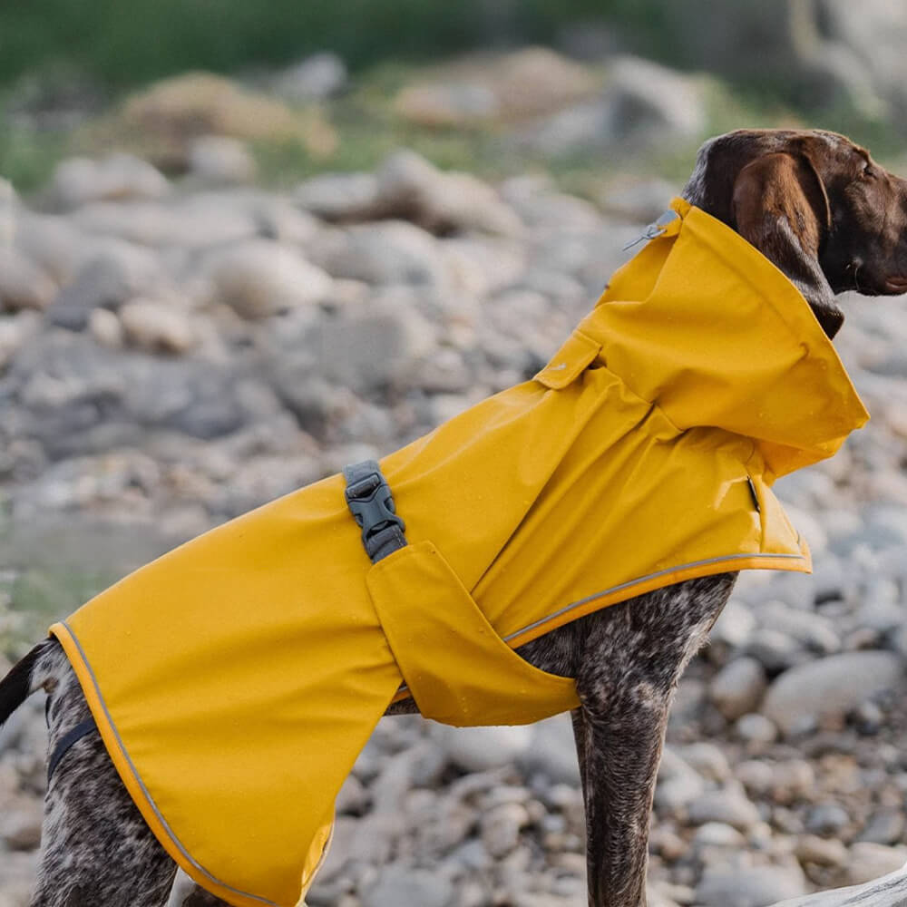 Verstellbarer Rollkragenpulli Reflektierende Jacke Hund Mensch Passend zum Regenmantel