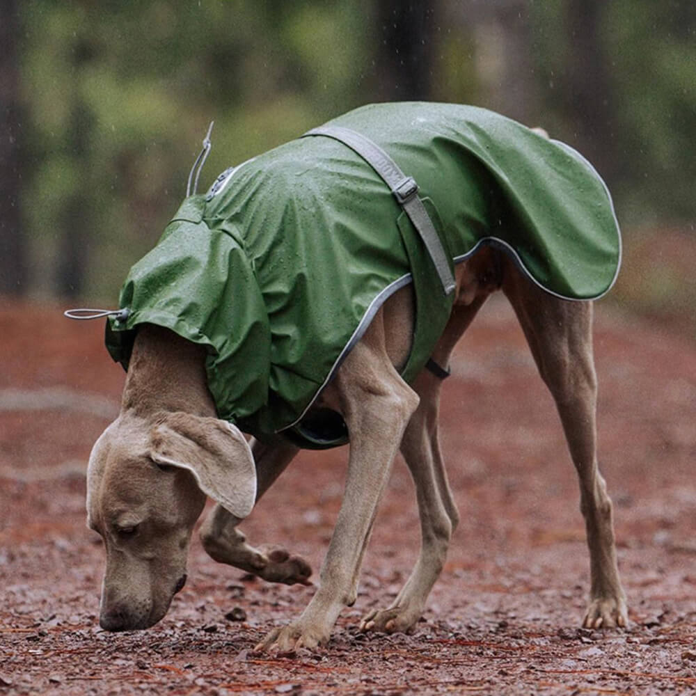 Verstellbarer Rollkragenpulli Reflektierende Jacke Hund Mensch Passend zum Regenmantel