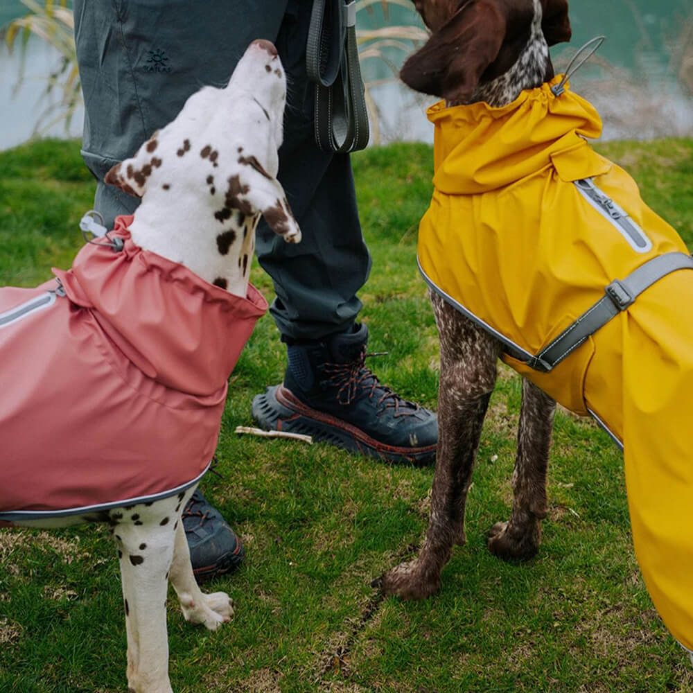 Verstellbarer Rollkragenpulli Reflektierende Jacke Hund Mensch Passend zum Regenmantel