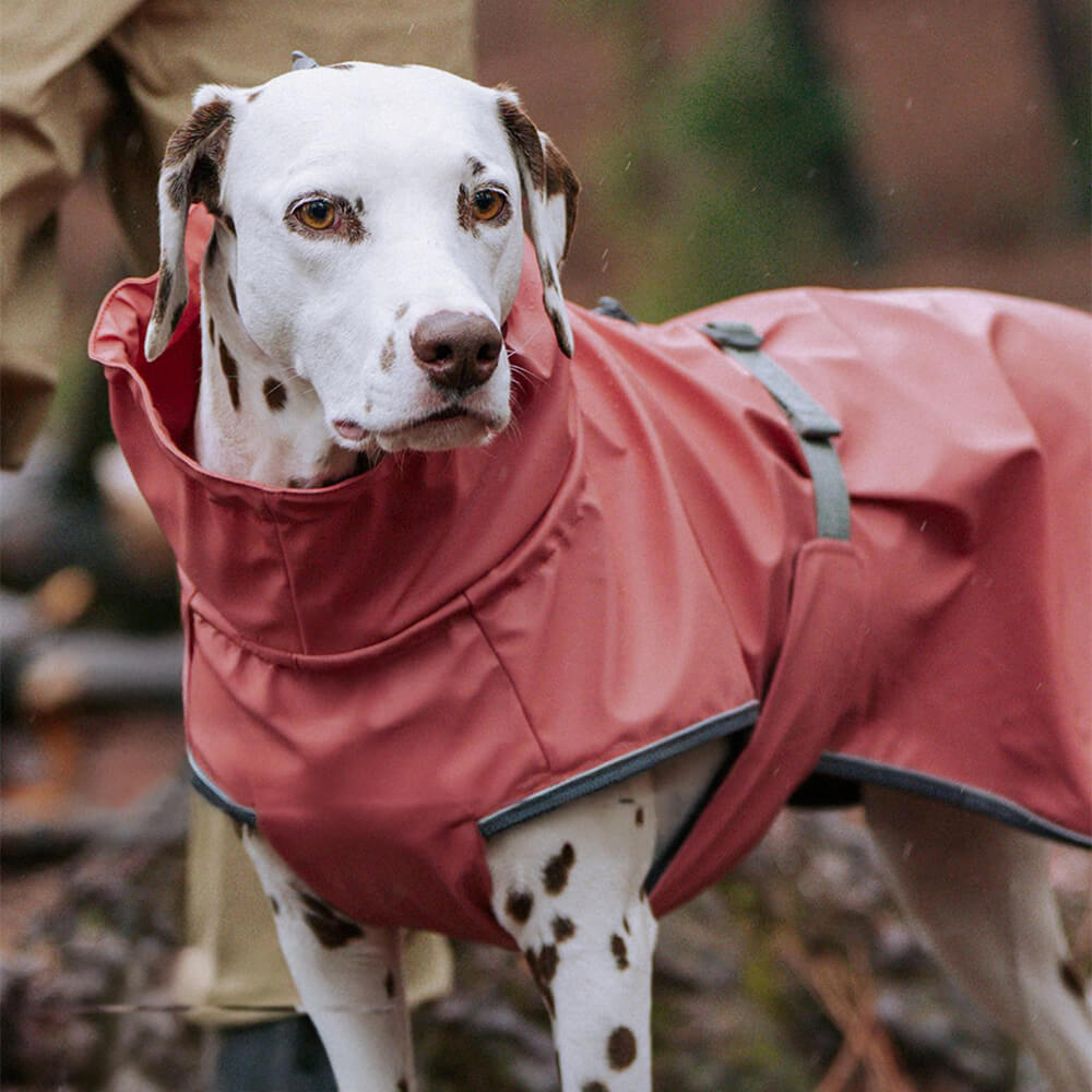 Verstellbarer Rollkragenpulli Reflektierende Jacke Hund Mensch Passend zum Regenmantel