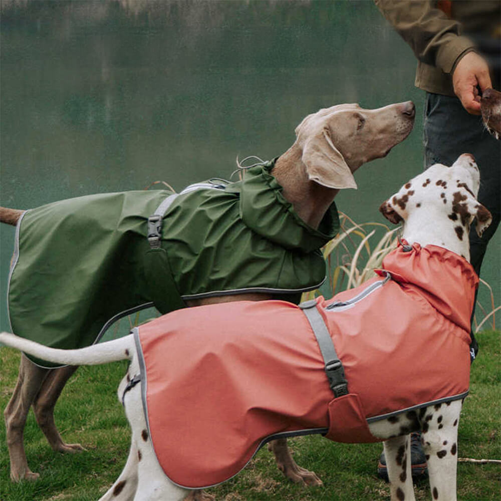 Verstellbarer Rollkragenpulli Reflektierende Jacke Hund Mensch Passend zum Regenmantel