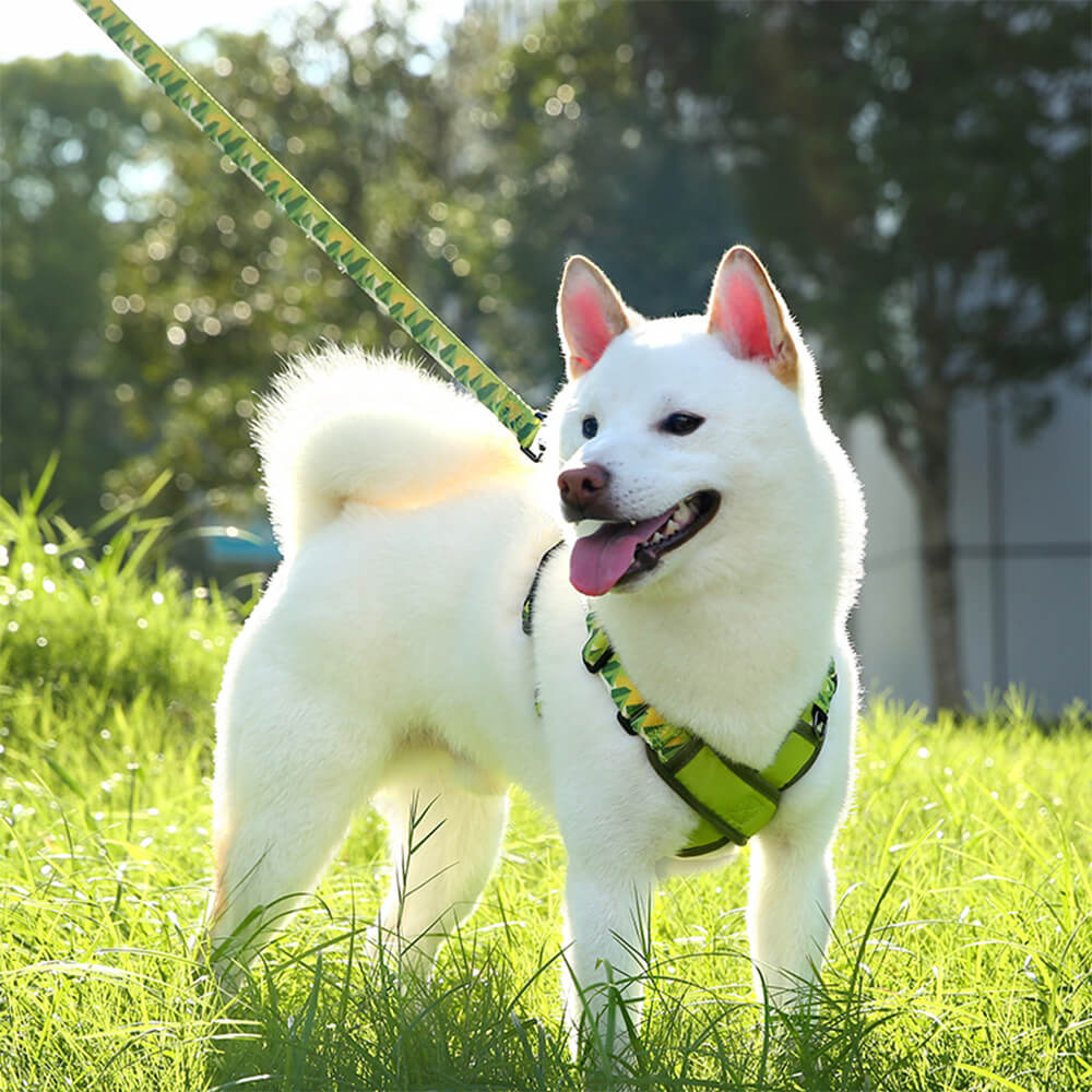 X-förmiges Verstellbares Langlebiges Hundegeschirr und Leinen-Set