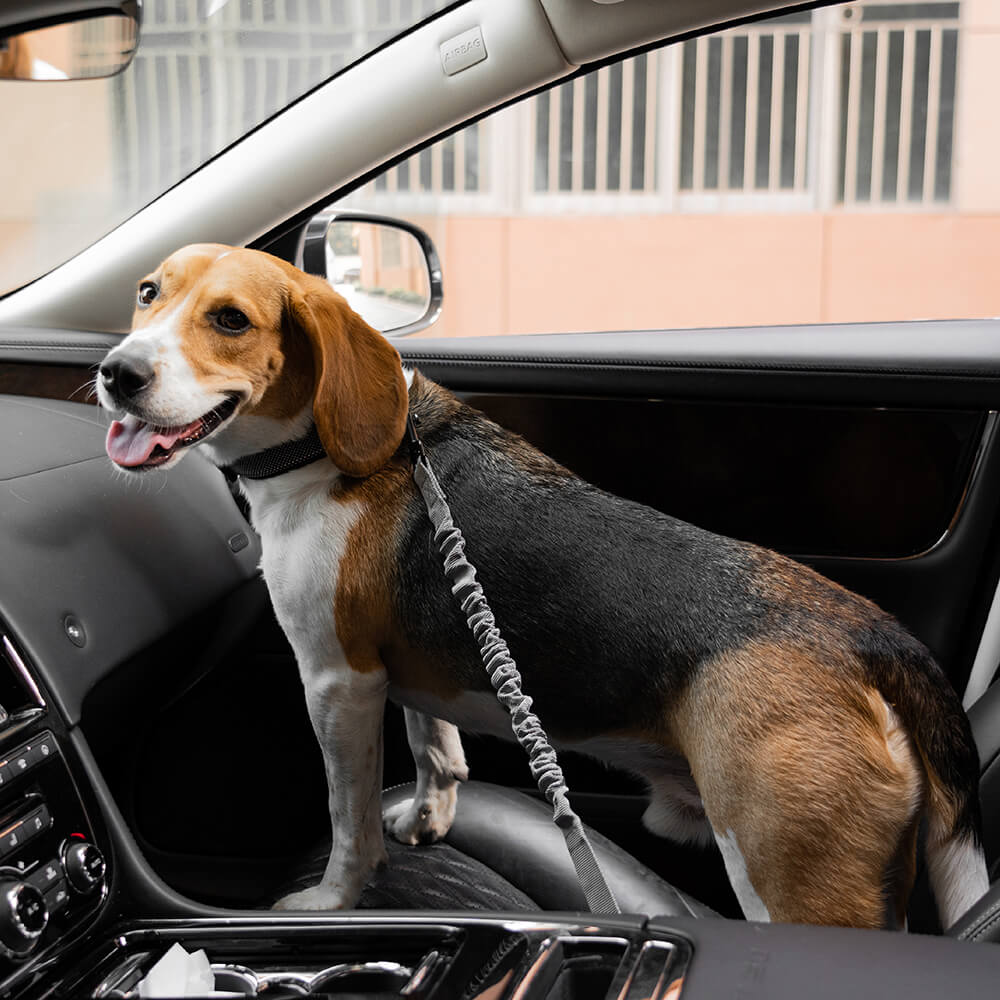 Buffer Verstellbarer Sicherheitsgurt fürs Auto Cooles Hundezubehör