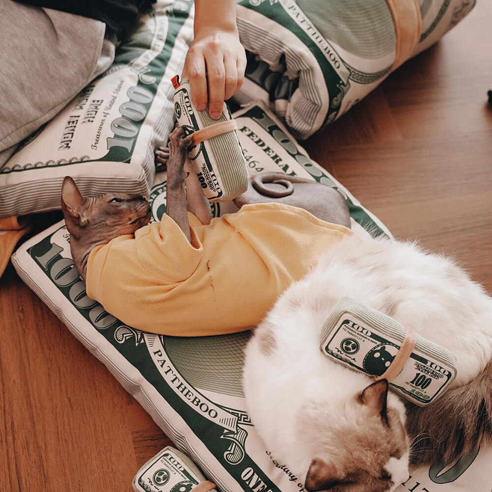 Haltbares Canvas-Katze-Bett im Geld-Thema