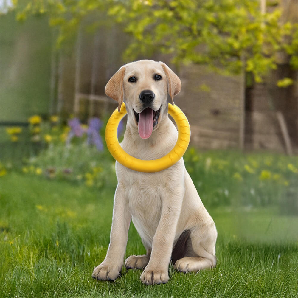 Haltbarer EVA schwimmender Kau-Ring Frisbee Hundespielzeug