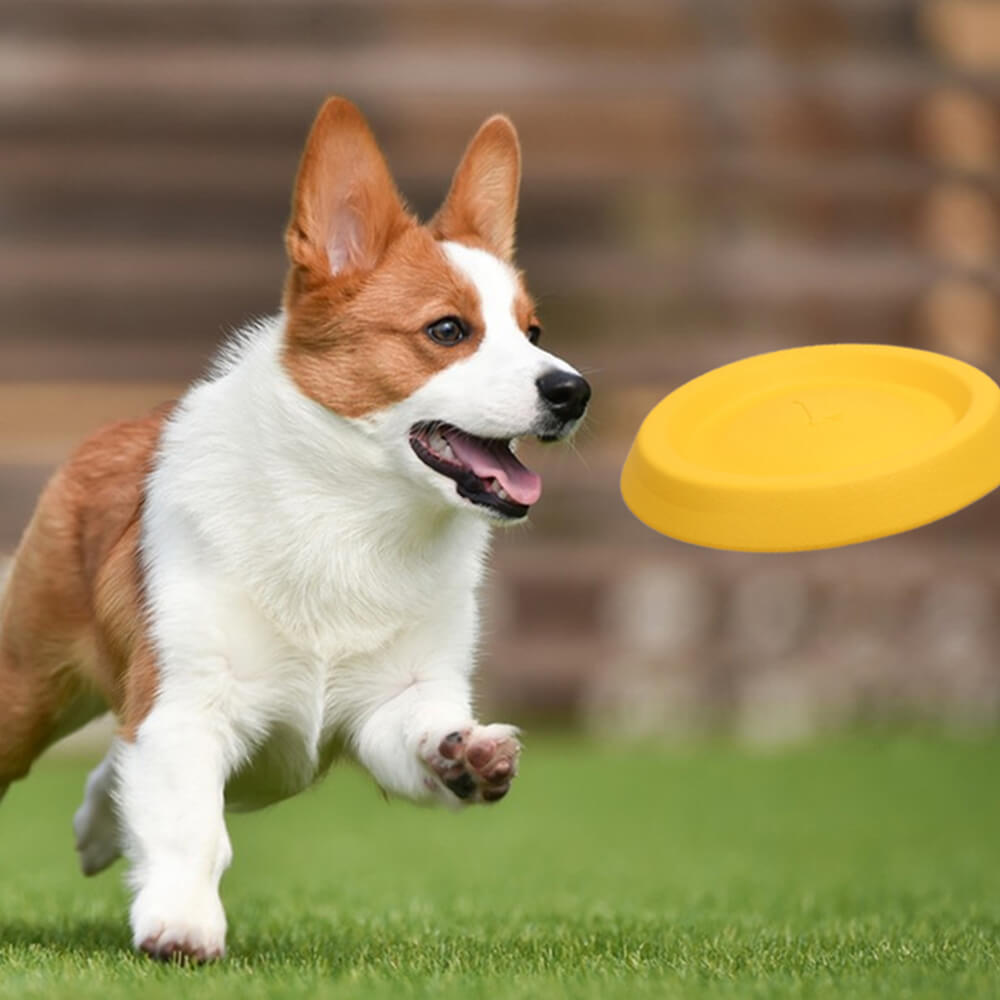 Haltbarer EVA schwimmender Kau-Ring Frisbee Hundespielzeug