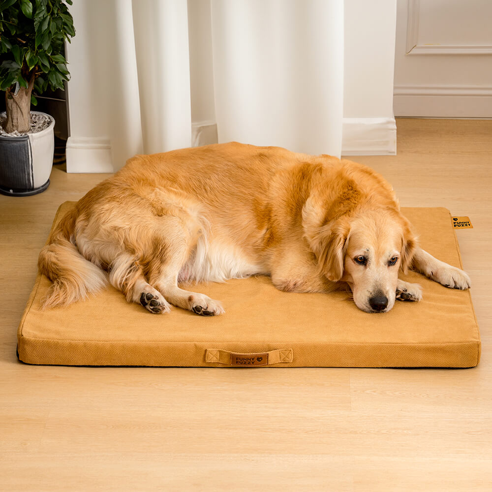 Lit de chien de lit de soutien orthopédique portatif de mousse