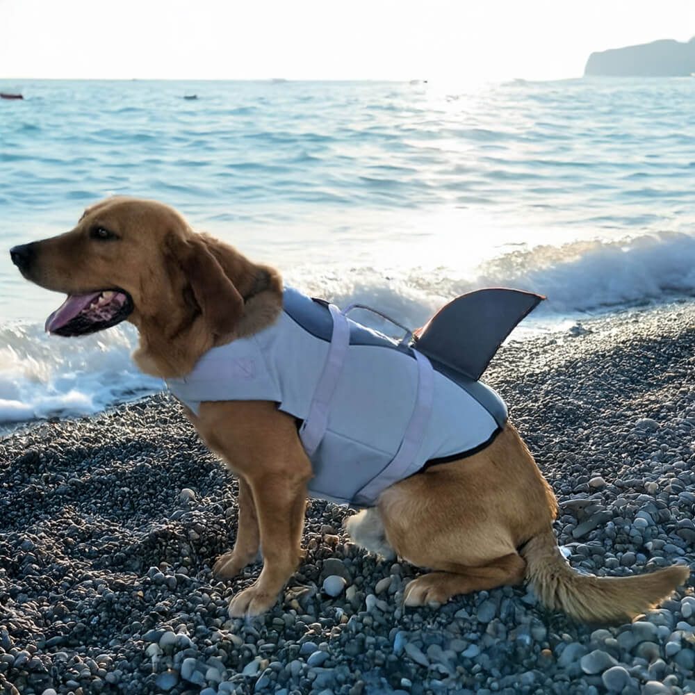 Sicherer Sitz Hundeschwimmweste im Meerjungfrauen- und Haifischstil