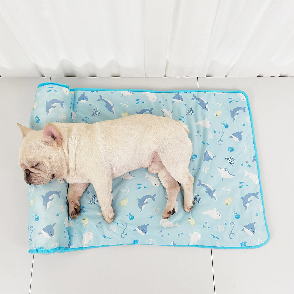 Ozean-Serie Eis-Seiden Atmungsaktive Kühlende Hundematte mit Kissen