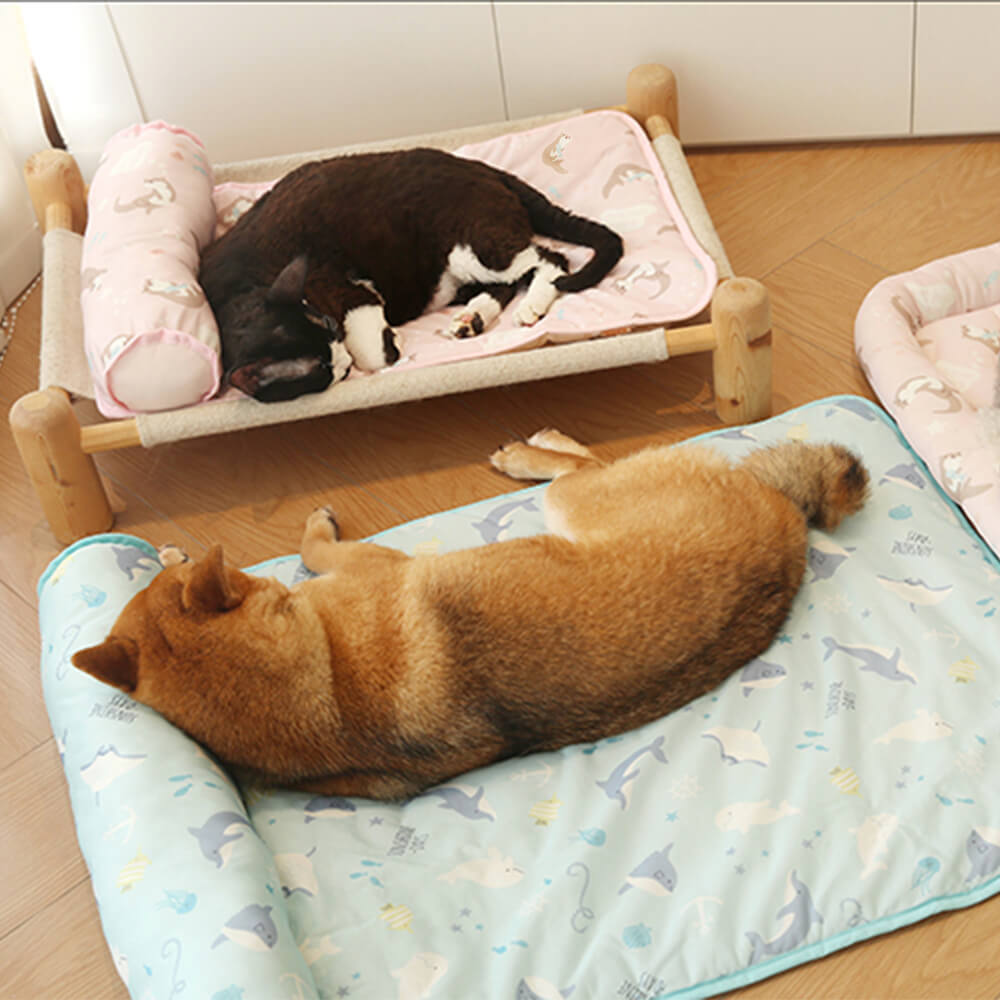 Ozean-Serie Eis-Seiden Atmungsaktive Kühlende Hundematte mit Kissen