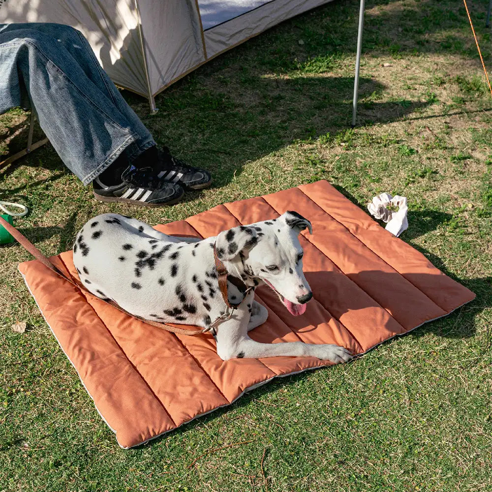 Tragbare faltbare beidseitige wasserabweisende Hundematte für Outdoor-Reisen und Camping