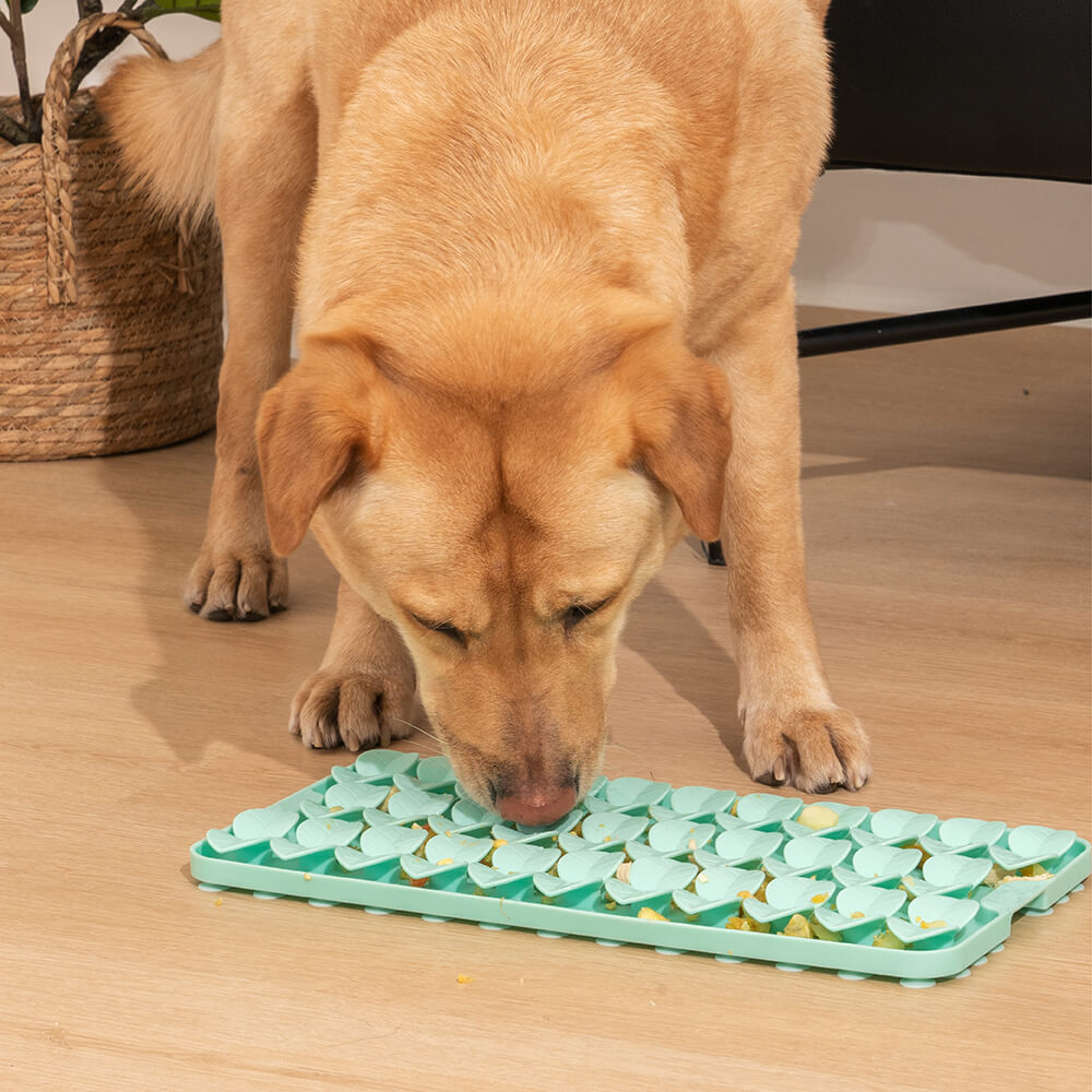 Seedling Hundespielzeug aus Silikon mit Saugnapf Schnüffelmatte für langsame Fütterung