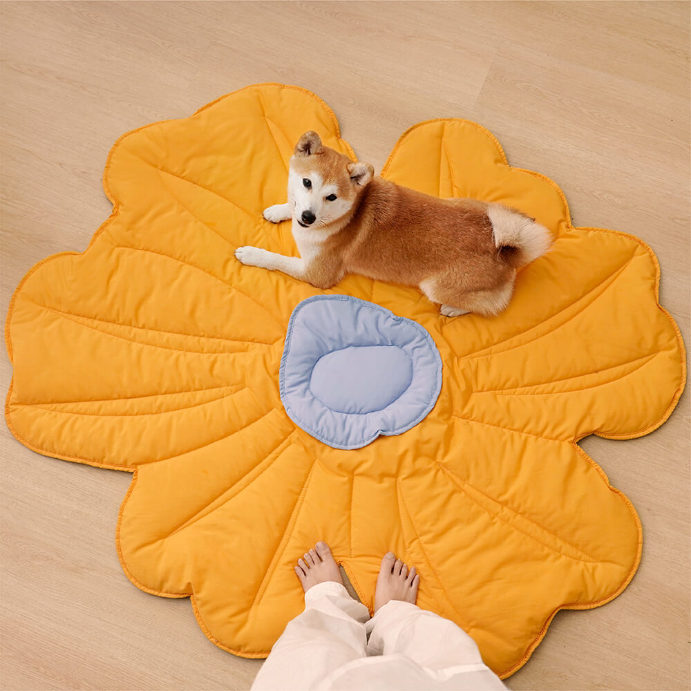 Supergroße Hundedecke in Blumenform für Menschen und Haustiere