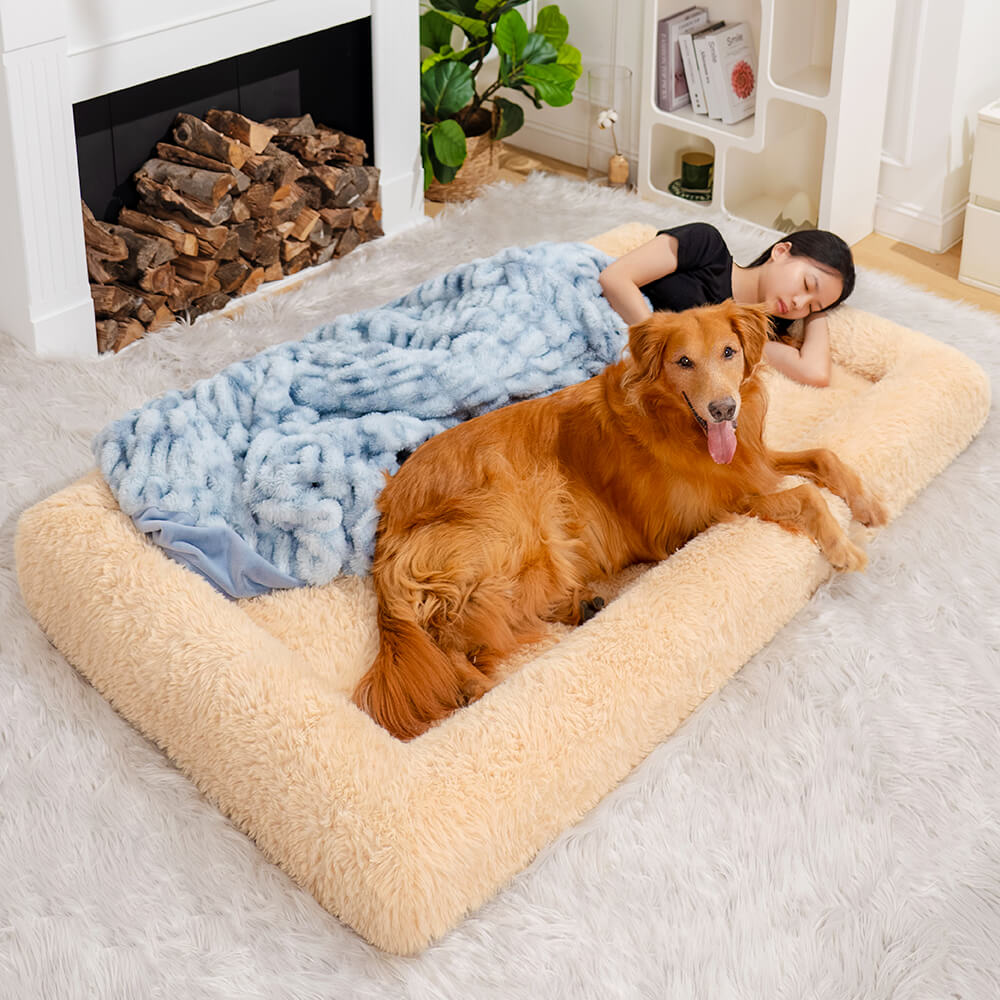 Lit orthopédique pour chien humain, lit en peluche confortable ultime, très grand sommeil plus profond