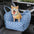 ISOFIX Hund-Autositzbett mit ISOFIX-System - Erste Klasse