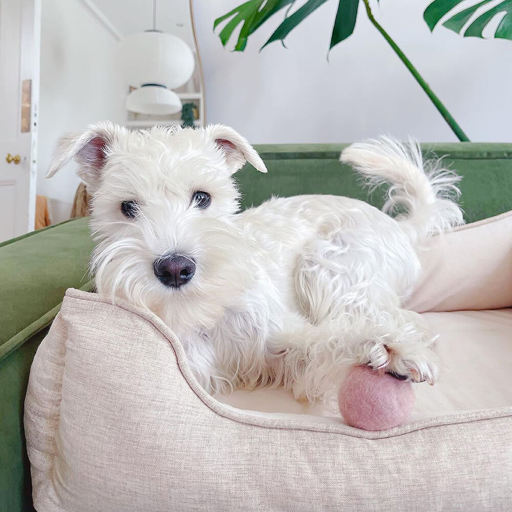 Hundebett - Quadratische Brotbettdecke