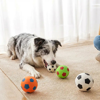 Lustiges hoch elastisches schwimmendes Fußball-Hundespielzeug