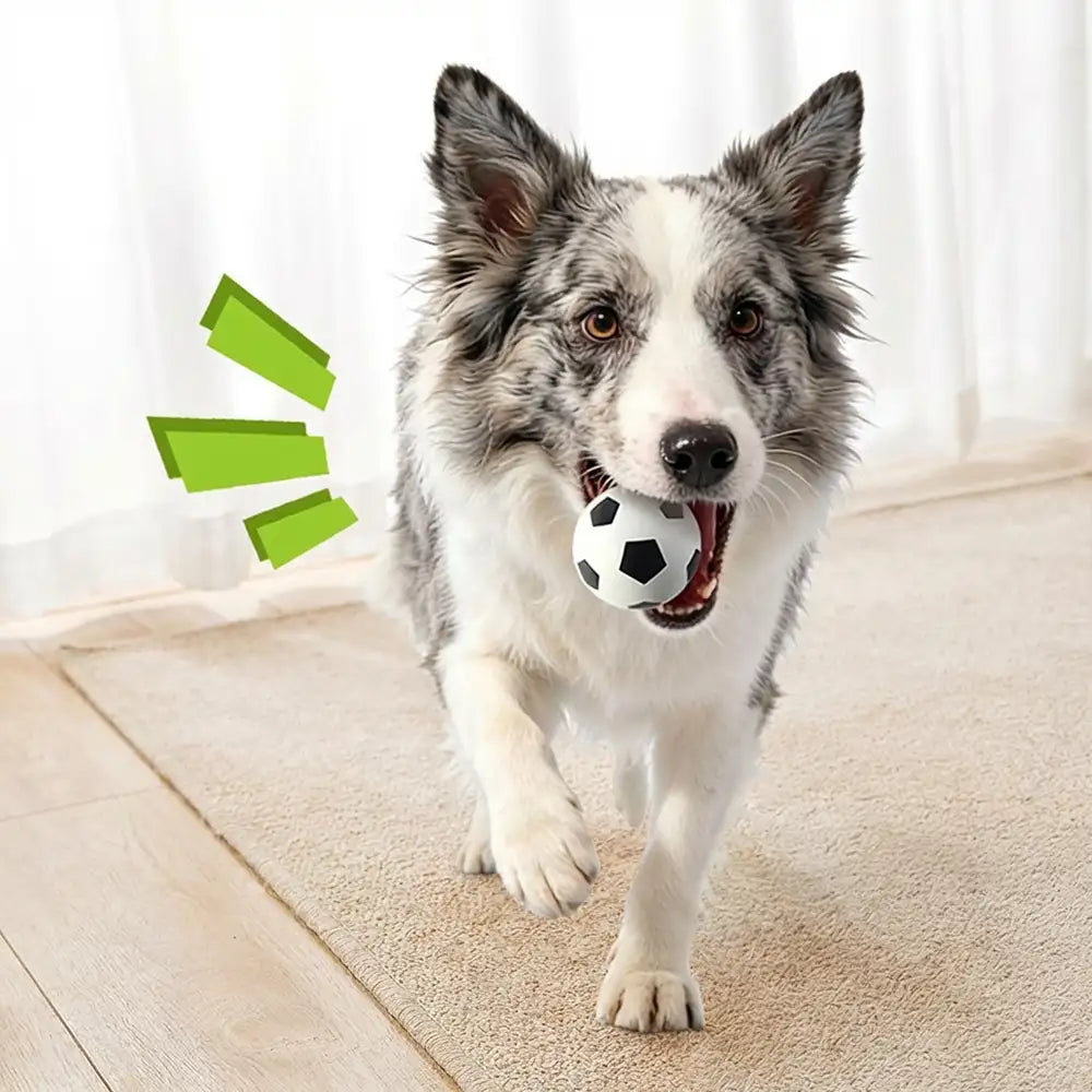 Lustiges hoch elastisches schwimmendes Fußball-Hundespielzeug