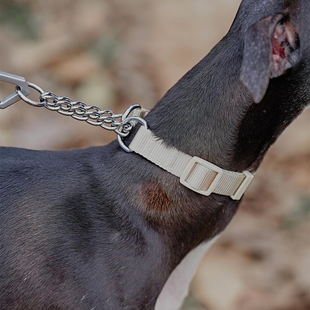 Anti-Zug Trainingshalsband für Hunde