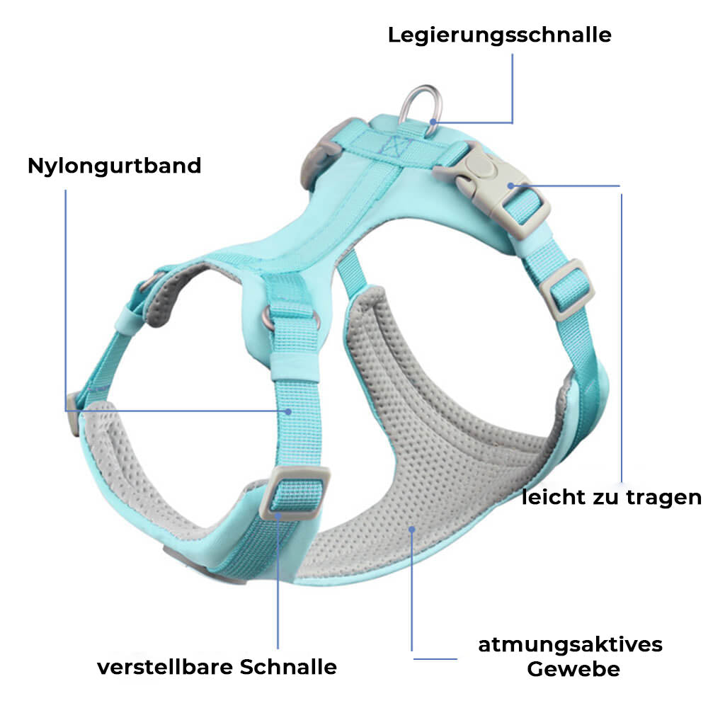 Komplette Kontrolle – Komfortables Anti-Zug-Hundegeschirr und Leinen-Set