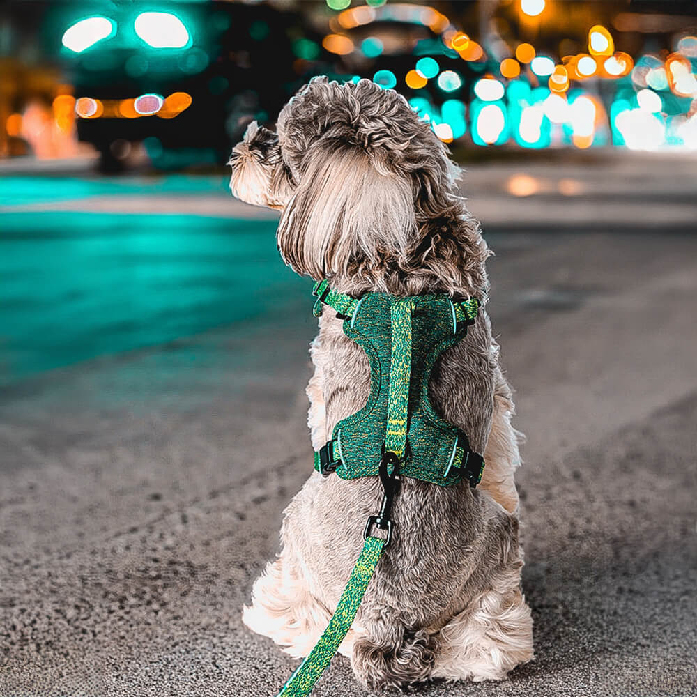 Umweltfreundliches Recyceltes Gewebe Hundegeschirr und -Leine