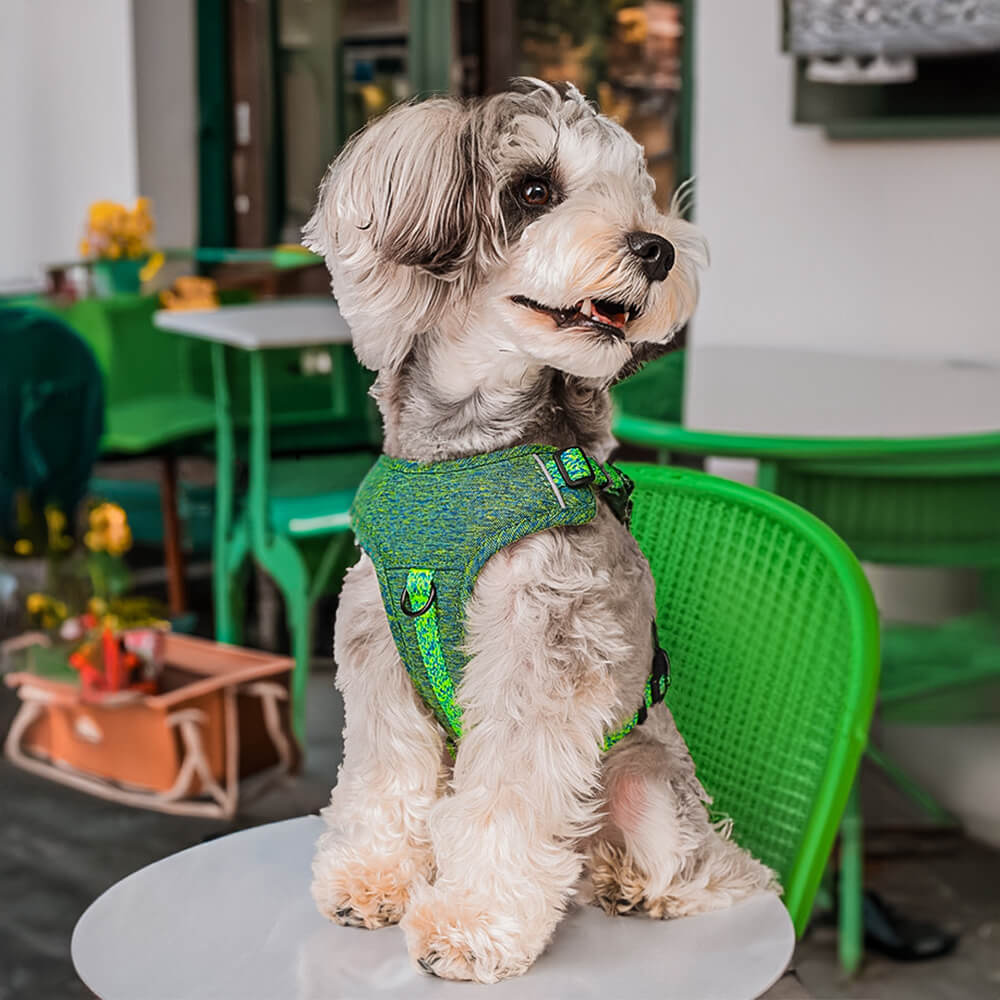 Umweltfreundliches Recyceltes Gewebe Hundegeschirr und -Leine