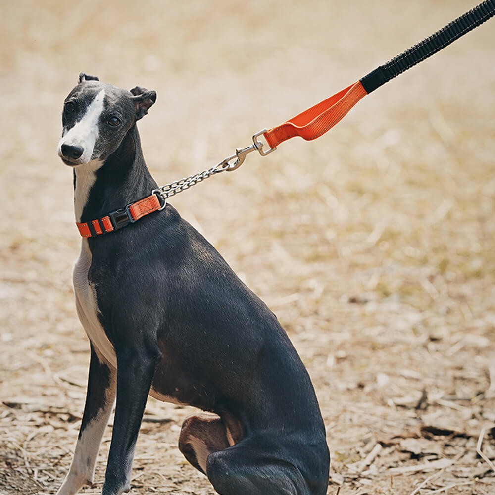 Multifunktionales Reflektierendes Anti-Zug-Hundehalsband und -Leine