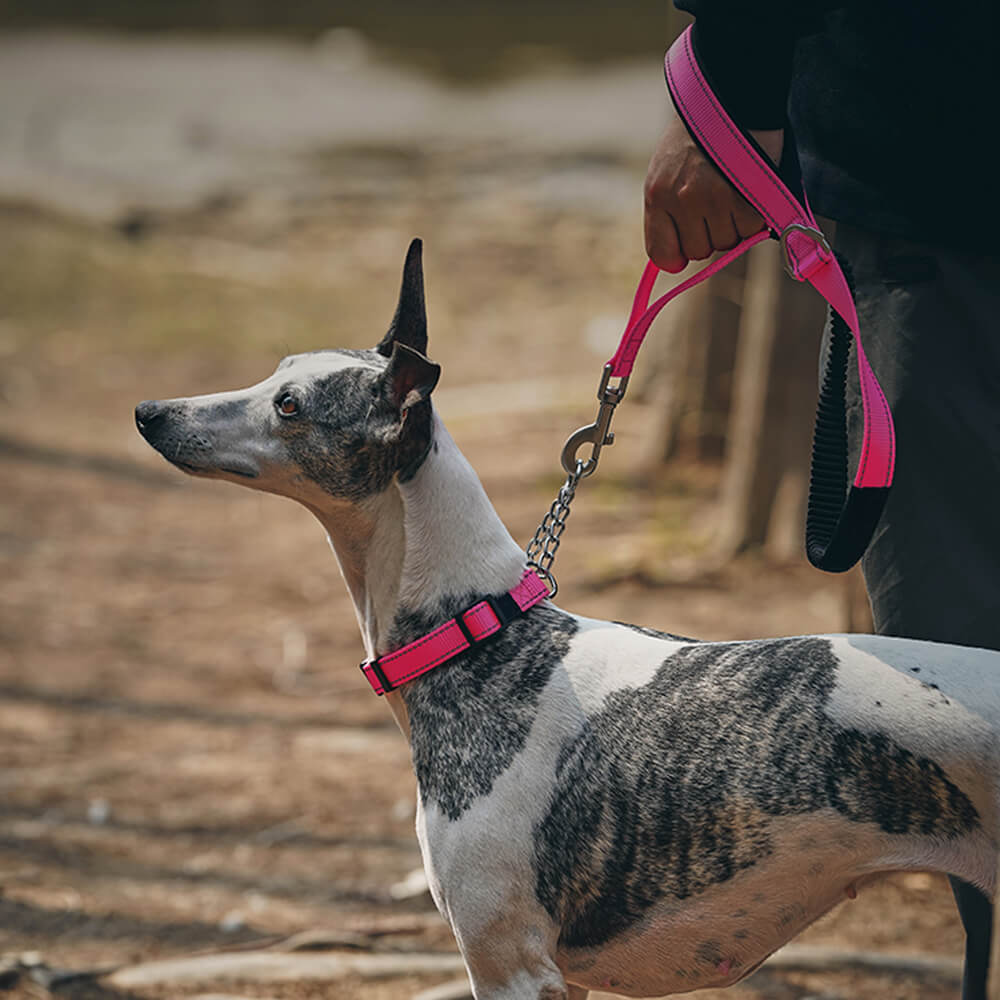 Multifunktionales Reflektierendes Anti-Zug-Hundehalsband und -Leine