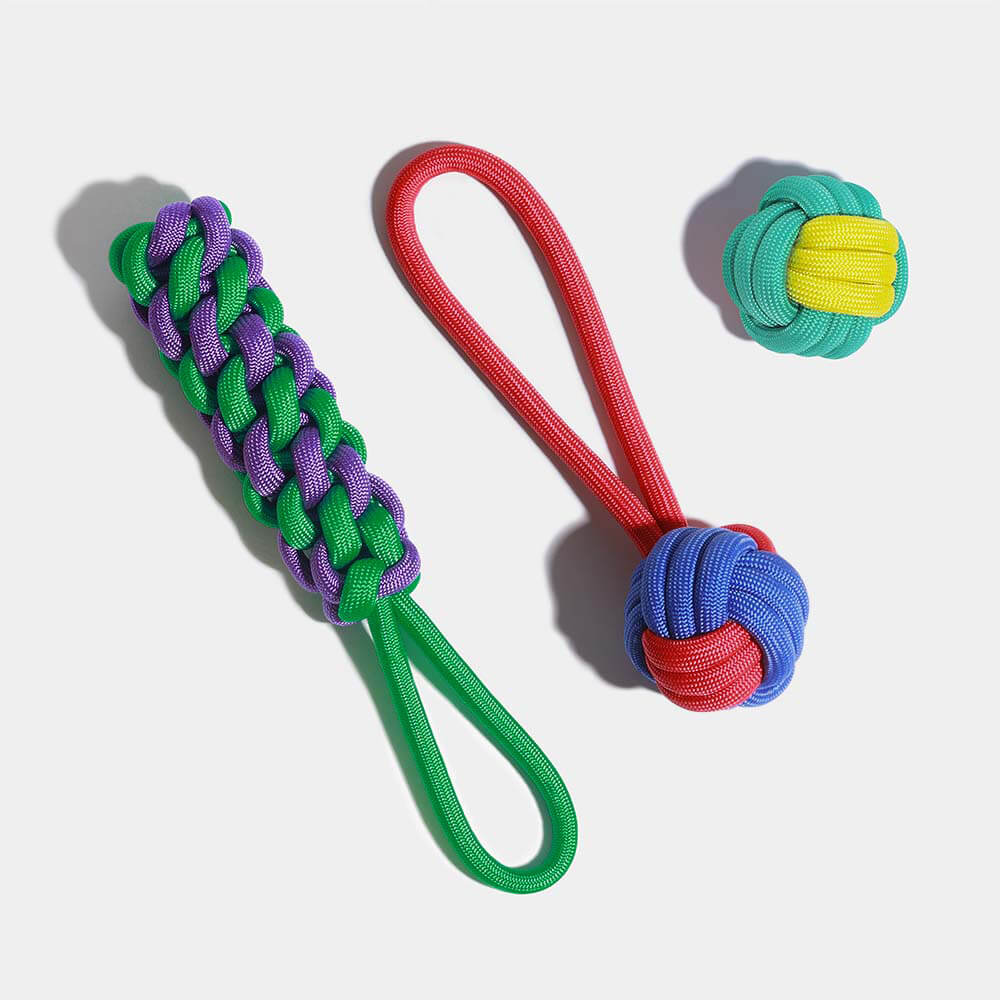 Knots Rope Hundespielzeug-Set - Farbkonflikt