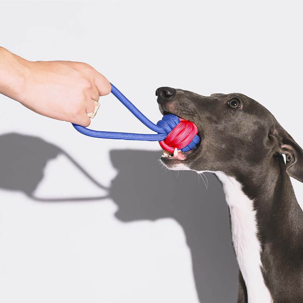 Quietschendes Interaktives Kauspielzeug aus Plüsch Geschenkkorb-Set für Hundespielzeug