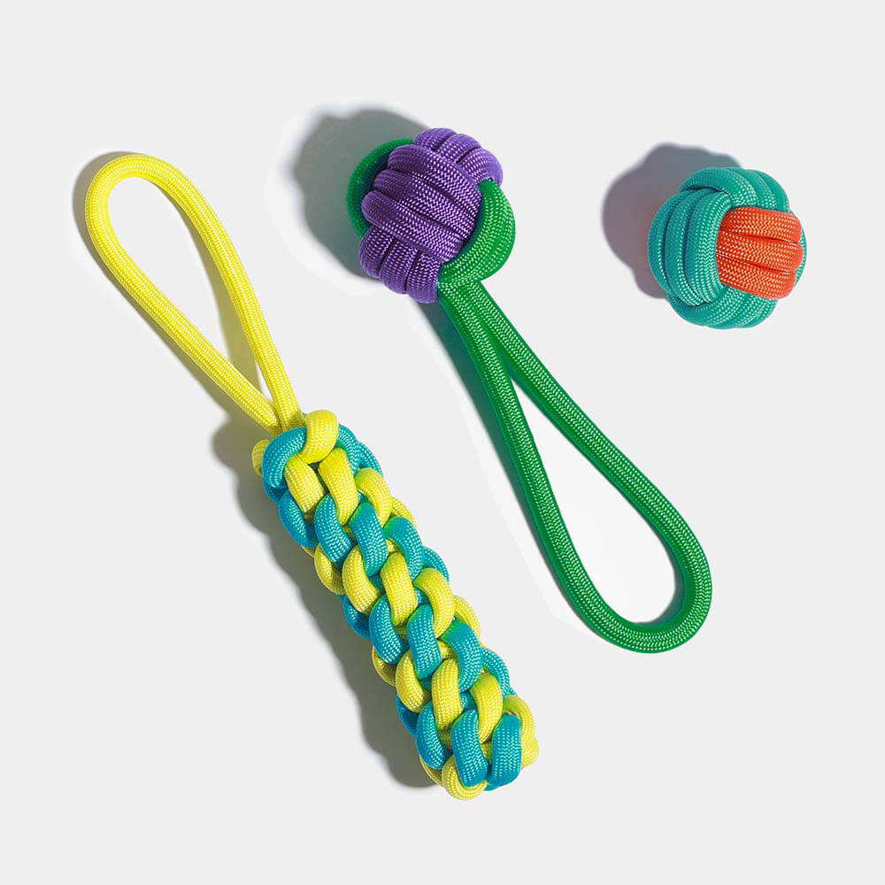 Knots Rope Hundespielzeug-Set - Farbkonflikt