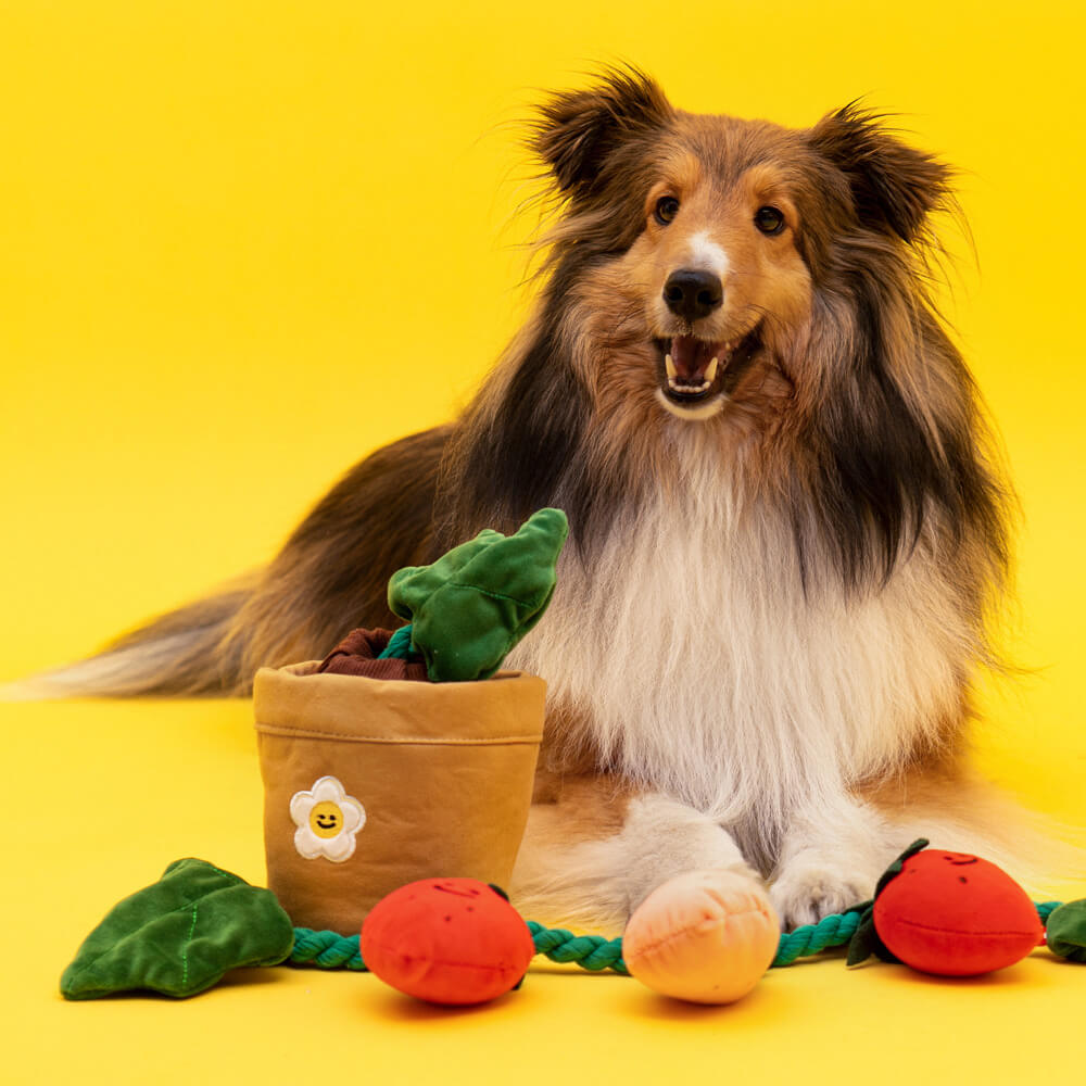 Quietschspielzeug für Hunde aus Plüsch – Erdbeere im Topf